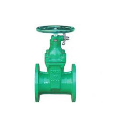 宏球閥門飲用水專用彈性座封閘閥圖片_高清圖_細節(jié)圖-河北宏球閥門制造 -