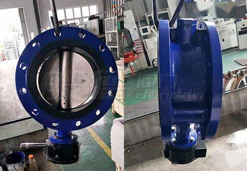 般德案例丨東南亞某公司采購(gòu)般德蝶閥 軟密封閘閥 蝶式止回閥等產(chǎn)品