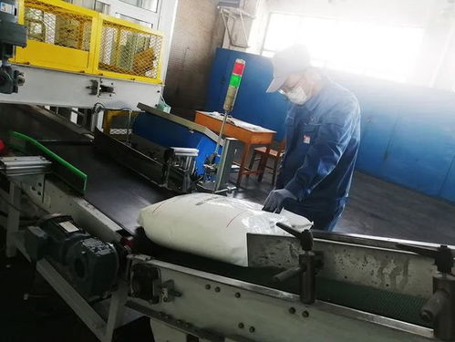 持續(xù)攻堅創(chuàng)效 塑料廠 c 位讓給創(chuàng)效 冠軍